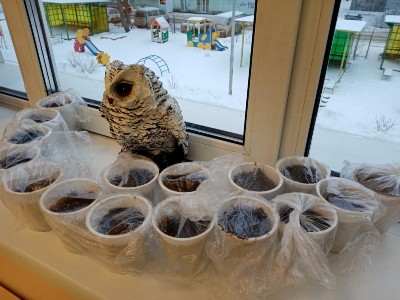 Изображение Изображение