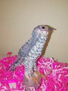 Изображение Изображение