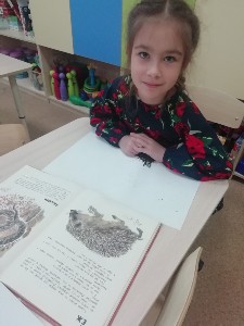 Изображение Изображение