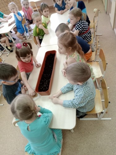 Изображение Изображение